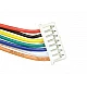 Dual Head 7 Pin JST-XH 1.25mm Wire