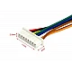 Dual Head 8 Pin JST-XH 1.25mm Wire