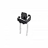 2 Pin Tactile Switch