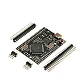 Mega 2560 Pro Embedded Development Board (USB Type-C)