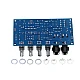 XH-M173 Karaoke Reverb & Microphone Amplifier Board