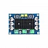 XH-M542 TPA3116D2 Compatible Chip Mono 100W Digital Power Amplifier Board - Compatible Chip